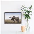 Picture of Roaming Around _GroupedProduct_Rectangle_Landscape_Canvas_Framed_