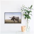 Picture of Roaming Around _GroupedProduct_Rectangle_Landscape_Canvas_Framed_