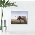 Picture of Roaming Around _GroupedProduct_Rectangle_Landscape_Canvas_Framed_