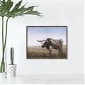 Picture of Roaming Around _GroupedProduct_Rectangle_Landscape_Canvas_Framed_