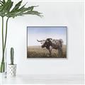 Picture of Roaming Around _GroupedProduct_Rectangle_Landscape_Canvas_Framed_