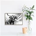 Picture of Longhorn Larry _GroupedProduct_Rectangle_Landscape_Canvas_Framed_