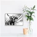 Picture of Longhorn Larry _GroupedProduct_Rectangle_Landscape_Canvas_Framed_