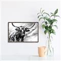 Picture of Longhorn Larry _GroupedProduct_Rectangle_Landscape_Canvas_Framed_