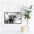 Picture of Longhorn Larry _GroupedProduct_Rectangle_Landscape_Canvas_Framed_