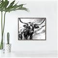 Picture of Longhorn Larry _GroupedProduct_Rectangle_Landscape_Canvas_Framed_