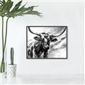 Picture of Longhorn Larry _GroupedProduct_Rectangle_Landscape_Canvas_Framed_