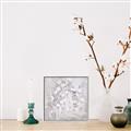 Picture of White Flower Buds _GroupedProduct_Square_Canvas_Framed_
