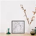 Picture of White Flower Buds _GroupedProduct_Square_Canvas_Framed_