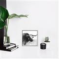 Picture of Sketched Horned Cow _GroupedProduct_Square_Canvas_Framed_
