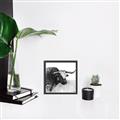 Picture of Sketched Horned Cow _GroupedProduct_Square_Canvas_Framed_