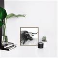 Picture of Sketched Horned Cow _GroupedProduct_Square_Canvas_Framed_