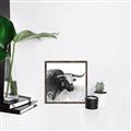 Picture of Sketched Horned Cow _GroupedProduct_Square_Canvas_Framed_