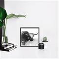 Picture of Sketched Horned Cow _GroupedProduct_Square_Canvas_Framed_