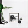Picture of Sketched Horned Cow _GroupedProduct_Square_Canvas_Framed_