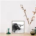 Picture of Sketched Horned Cow _GroupedProduct_Square_Canvas_Framed_