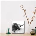 Picture of Sketched Horned Cow _GroupedProduct_Square_Canvas_Framed_