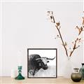 Picture of Sketched Horned Cow _GroupedProduct_Square_Canvas_Framed_
