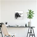 Picture of Sketched Horned Cow _GroupedProduct_Square_Canvas_Framed_