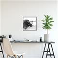 Picture of Sketched Horned Cow _GroupedProduct_Square_Canvas_Framed_