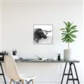 Picture of Sketched Horned Cow _GroupedProduct_Square_Canvas_Framed_