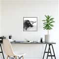 Picture of Sketched Horned Cow _GroupedProduct_Square_Canvas_Framed_