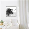 Picture of Sketched Horned Cow _GroupedProduct_Square_Canvas_Framed_