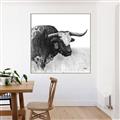 Picture of Sketched Horned Cow _GroupedProduct_Square_Canvas_Framed_