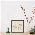 Picture of Sketched Horse II  _GroupedProduct_Square_Canvas_Framed_