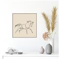 Picture of Sketched Horse II  _GroupedProduct_Square_Canvas_Framed_
