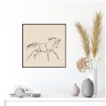 Picture of Sketched Horse II  _GroupedProduct_Square_Canvas_Framed_