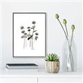Picture of Black Botanical I  _GroupedProduct_Rectangle_Portrait_Canvas_Framed_