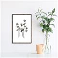 Picture of Black Botanical I  _GroupedProduct_Rectangle_Portrait_Canvas_Framed_