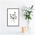 Picture of Black Botanical I  _GroupedProduct_Rectangle_Portrait_Canvas_Framed_