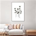 Picture of Black Botanical I  _GroupedProduct_Rectangle_Portrait_Canvas_Framed_
