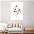 Picture of Black Botanical II  _GroupedProduct_Rectangle_Portrait_Canvas_Framed_