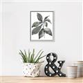Picture of Black Watercolour Botanical I _GroupedProduct_Rectangle_Portrait_Canvas_Framed_