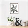 Picture of Black Watercolour Botanical I _GroupedProduct_Rectangle_Portrait_Canvas_Framed_