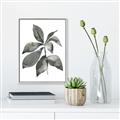 Picture of Black Watercolour Botanical I _GroupedProduct_Rectangle_Portrait_Canvas_Framed_