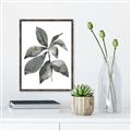 Picture of Black Watercolour Botanical I _GroupedProduct_Rectangle_Portrait_Canvas_Framed_