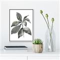 Picture of Black Watercolour Botanical I _GroupedProduct_Rectangle_Portrait_Canvas_Framed_