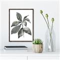 Picture of Black Watercolour Botanical I _GroupedProduct_Rectangle_Portrait_Canvas_Framed_