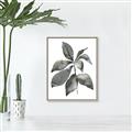 Picture of Black Watercolour Botanical I _GroupedProduct_Rectangle_Portrait_Canvas_Framed_