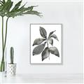 Picture of Black Watercolour Botanical I _GroupedProduct_Rectangle_Portrait_Canvas_Framed_