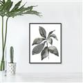Picture of Black Watercolour Botanical I _GroupedProduct_Rectangle_Portrait_Canvas_Framed_