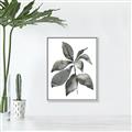Picture of Black Watercolour Botanical I _GroupedProduct_Rectangle_Portrait_Canvas_Framed_