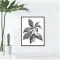 Picture of Black Watercolour Botanical I _GroupedProduct_Rectangle_Portrait_Canvas_Framed_