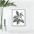Picture of Black Watercolour Botanical I _GroupedProduct_Rectangle_Portrait_Canvas_Framed_