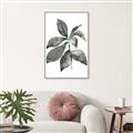 Picture of Black Watercolour Botanical I _GroupedProduct_Rectangle_Portrait_Canvas_Framed_