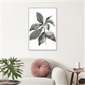 Picture of Black Watercolour Botanical I _GroupedProduct_Rectangle_Portrait_Canvas_Framed_